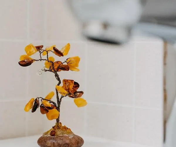 Liepu 37 Appartement Klaipėda